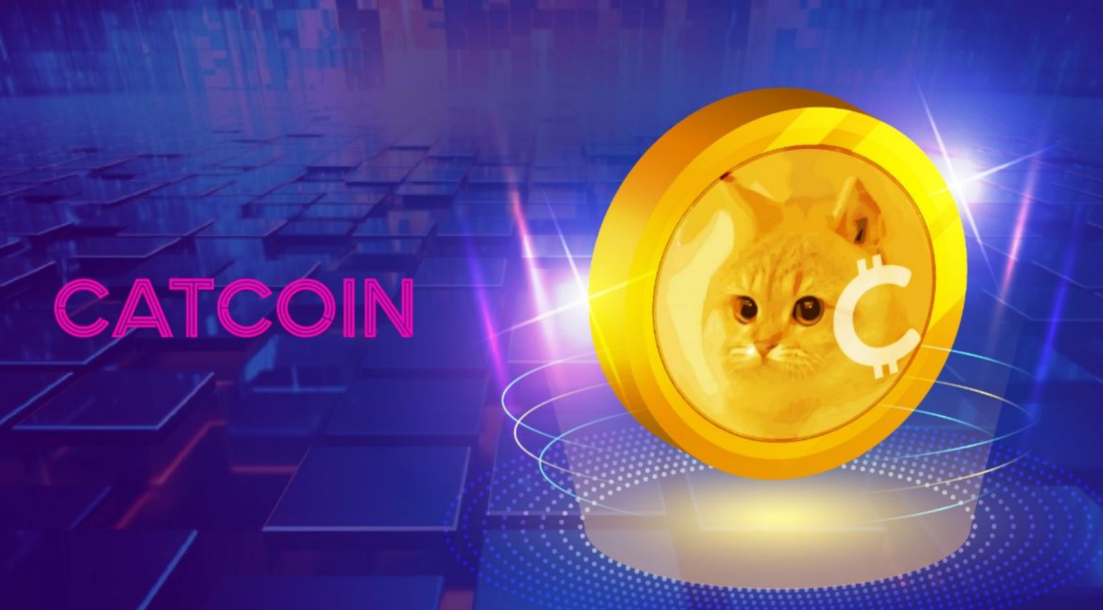 buy catcoin crypto