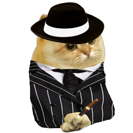 God of All Cats