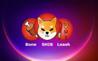 Shiba Inu Bone spike